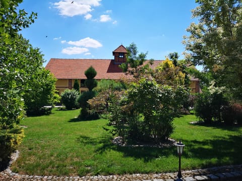 Property building, Spring, Natural landscape, Garden view