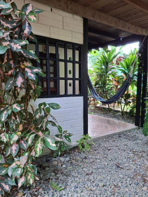 Garden view