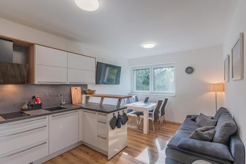 Kitchen or kitchenette, Living room, Seating area, Dining area