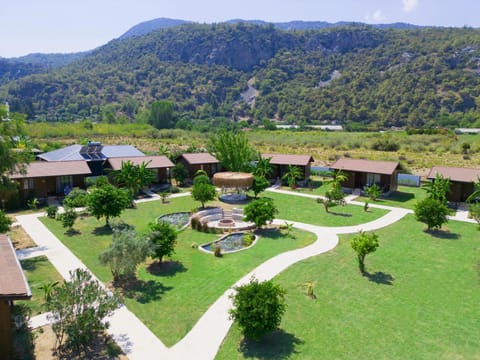 Natural landscape, Garden, Hiking, On site, Garden view, Mountain view