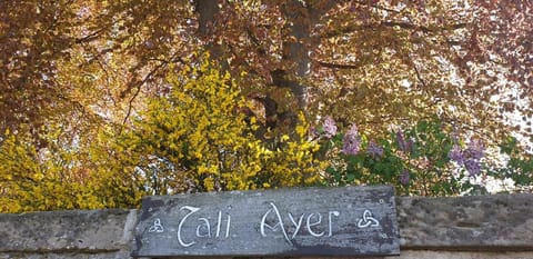 Property logo or sign