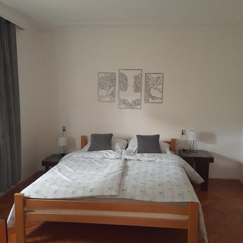 Centar Apartman Apartment in Vojvodina