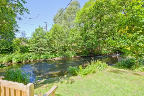 Natural landscape, Garden, Garden view, River view