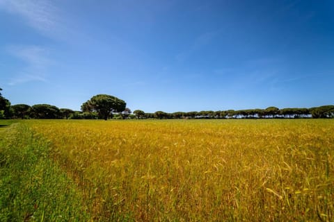 Natural landscape
