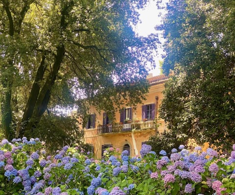 Property building, Natural landscape, Garden view