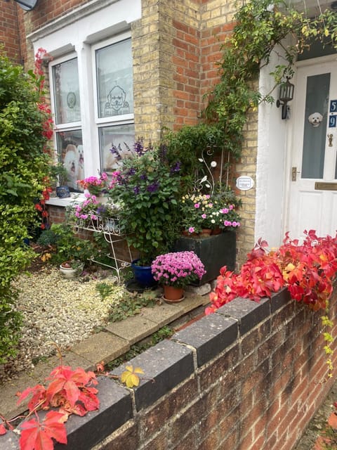 Arts&BichonsB&B Bed and Breakfast in Oxford