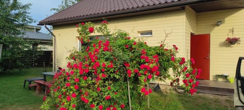 Nr.42 House in Palanga