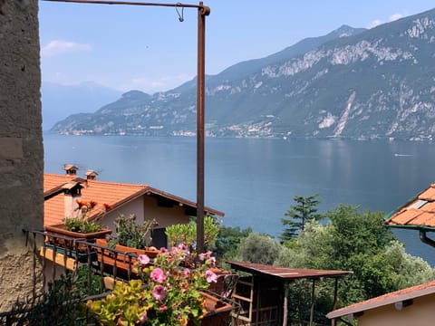 Lake view