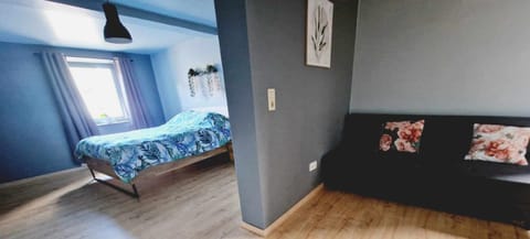 Bed, Living room, Photo of the whole room, Seating area, Bedroom