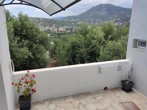 Irini Apartment Apartment in Lasithi