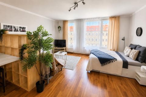 Bed, Living room, Photo of the whole room, Seating area, Bedroom