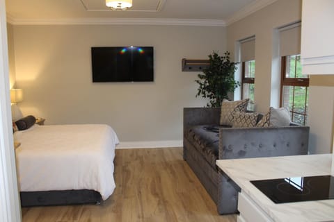 Communal lounge/ TV room, Bed, TV and multimedia, Photo of the whole room, Seating area, Bedroom