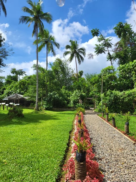 View (from property/room), Garden view