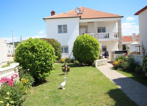 Property building, Garden