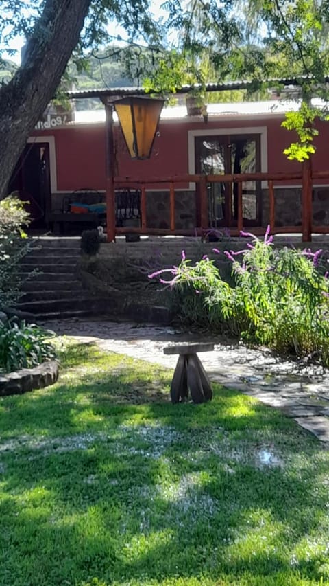 Natural landscape, Garden view