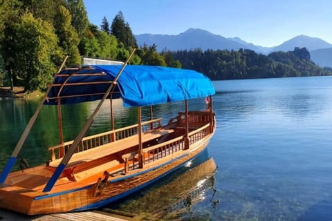 Apartma Kenda Apartment in Bled