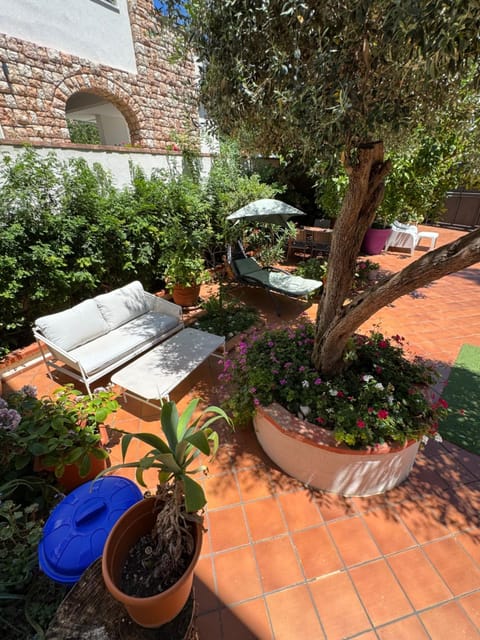 Day, Garden view