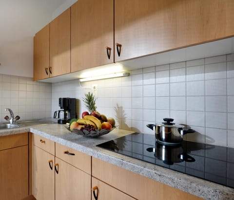 Haus Alpin Apartment in Ellmau