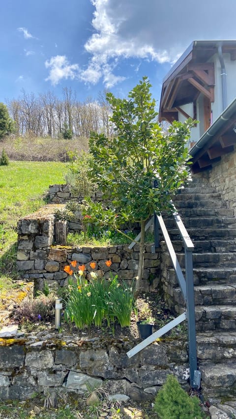 Property building, Garden, Garden