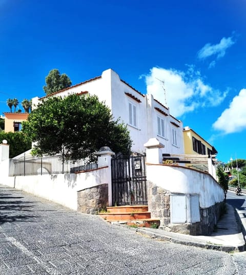Property building, Day, Neighbourhood, Street view