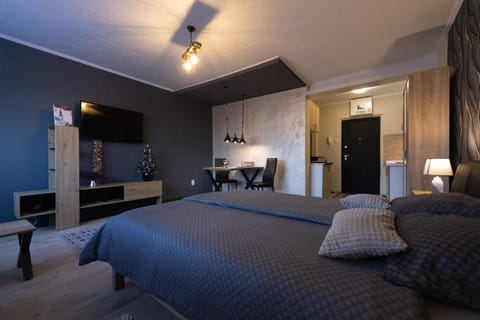 T - Polis Apartment in Vojvodina