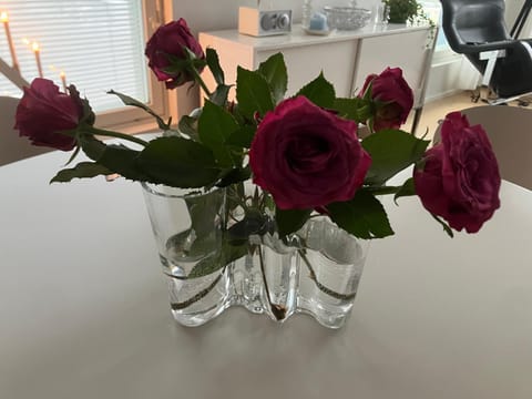 Seaside Lux Apartment in Turku