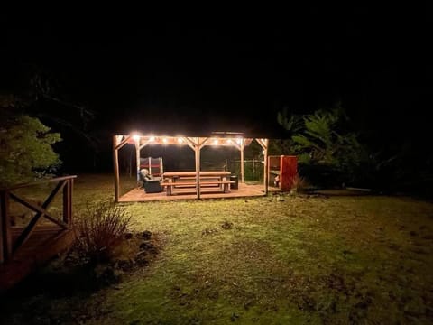 Off site, Night, Natural landscape, Garden