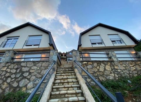 Villat Twin’s Villa in Montenegro