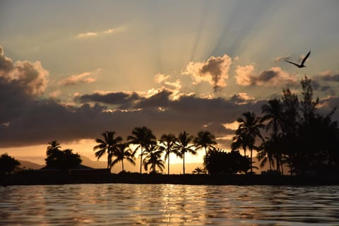 Beach, Sunset