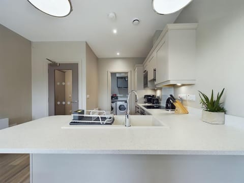 Kitchen or kitchenette, stove, toaster