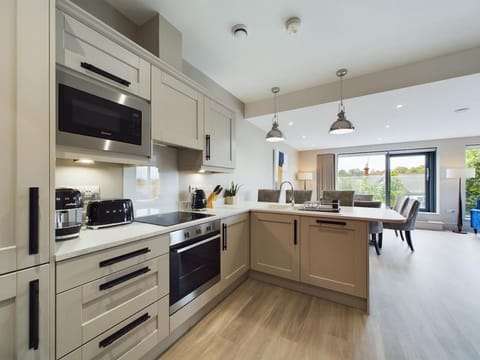 Kitchen or kitchenette, Dining area, oven, stove