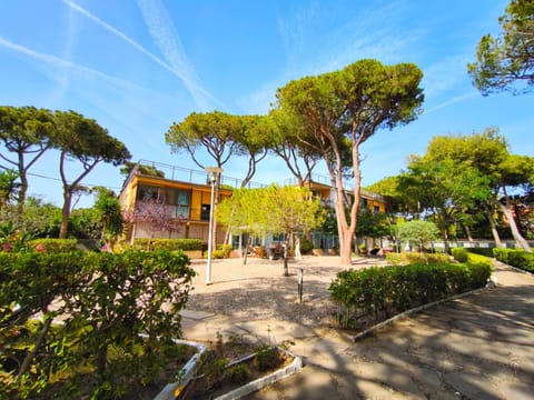 Property building, Garden view
