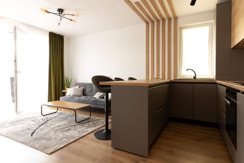 Living room, kitchen
