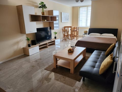 Bed, TV and multimedia, Living room, Seating area, Bedroom
