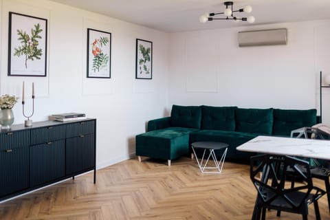 Living room, Photo of the whole room, Seating area, air conditioner