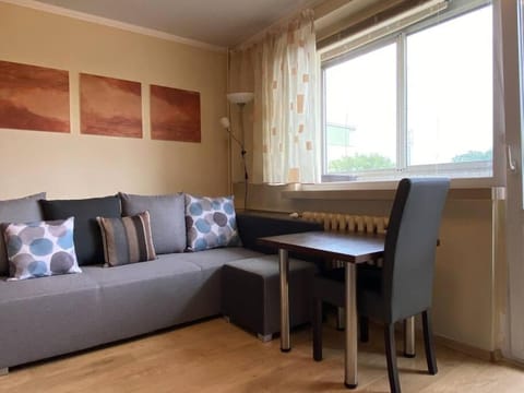 Living room, Photo of the whole room, Decorative detail, Seating area, Area and facilities