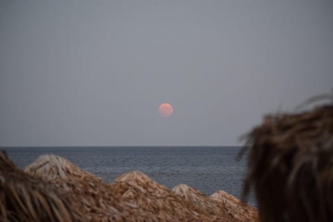 SeaSideRooms Apartment in Lasithi