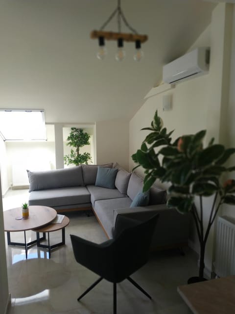 Luxury suite with Olympus and sea view Apartment in Litochoro