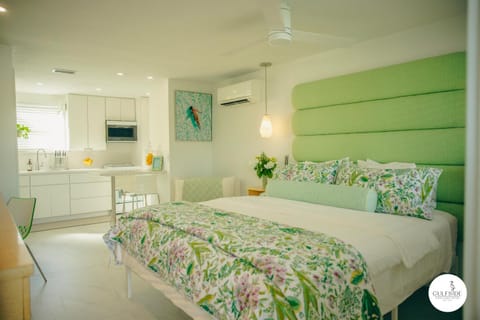 Gulfside Resort. Unit 10 Apartment hotel in Saint Pete Beach