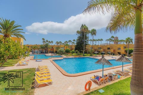 Garden, Swimming pool, sunbed