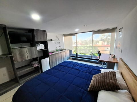 Communal lounge/ TV room, Bed, Kitchen or kitchenette, Photo of the whole room