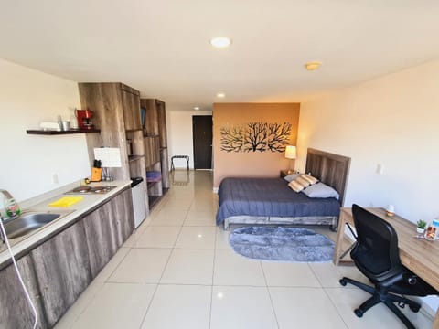 Bed, Kitchen or kitchenette, Photo of the whole room, Seating area, Bedroom