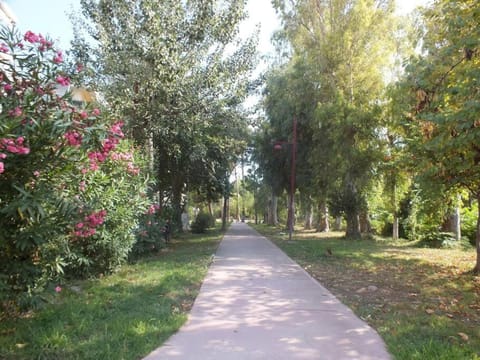 Το διαμέρισμα των διακοπών σας Apartment in Messenia