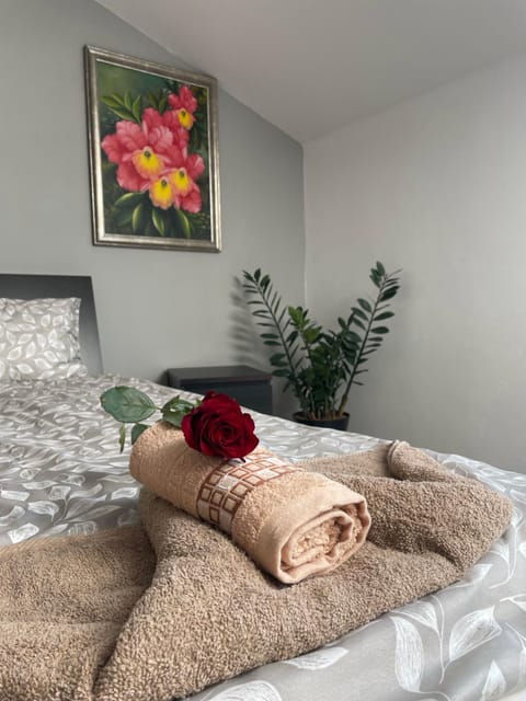 Apartament II w Centrum - Winda - 50 metrów od Starego Rynku Apartment in Pomeranian Voivodeship