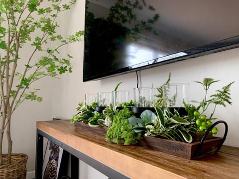 TV and multimedia, Living room