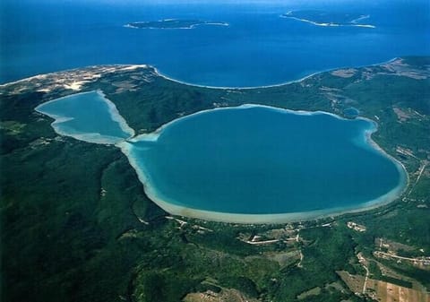 Birch Shores Resort - The Hemlock Cottage House in Glen Lake