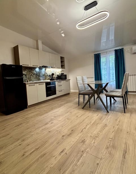 Kitchen or kitchenette, Living room, Seating area, Dining area, oven, stove