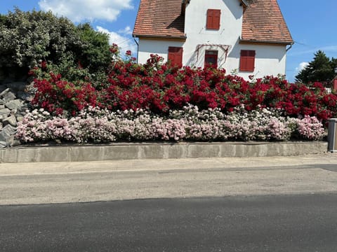 Property building, Spring