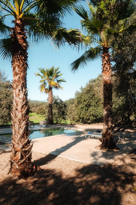 Natural landscape, Garden view, Swimming pool