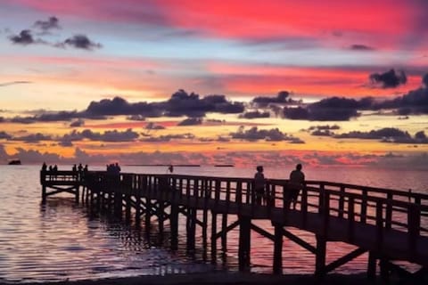 Dolphins Playground House in Palm Harbor